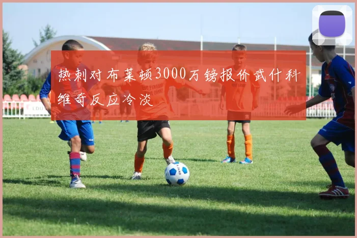 热刺对布莱顿3000万镑报价武什科维奇反应冷淡