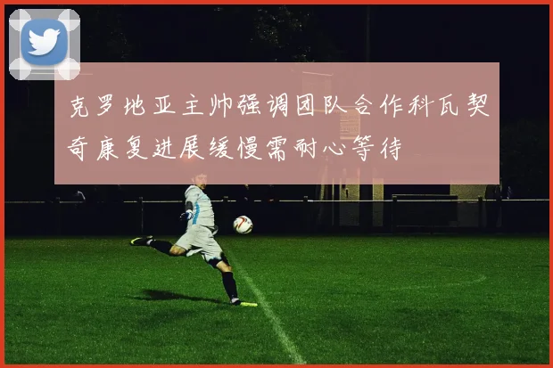 克罗地亚主帅强调团队合作科瓦契奇康复进展缓慢需耐心等待